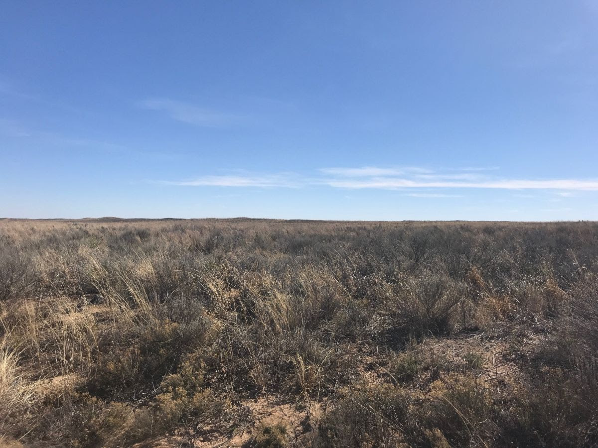 ⭐️SOLD⭐️ 1 acre Cochran County | $2,000